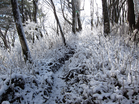20191129hike (105)
